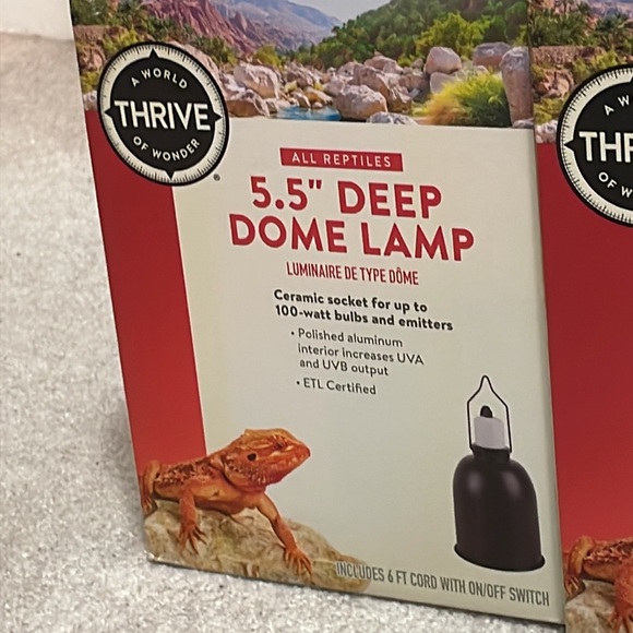 5.5” Deep Dome Lamp - Picture 3 of 3